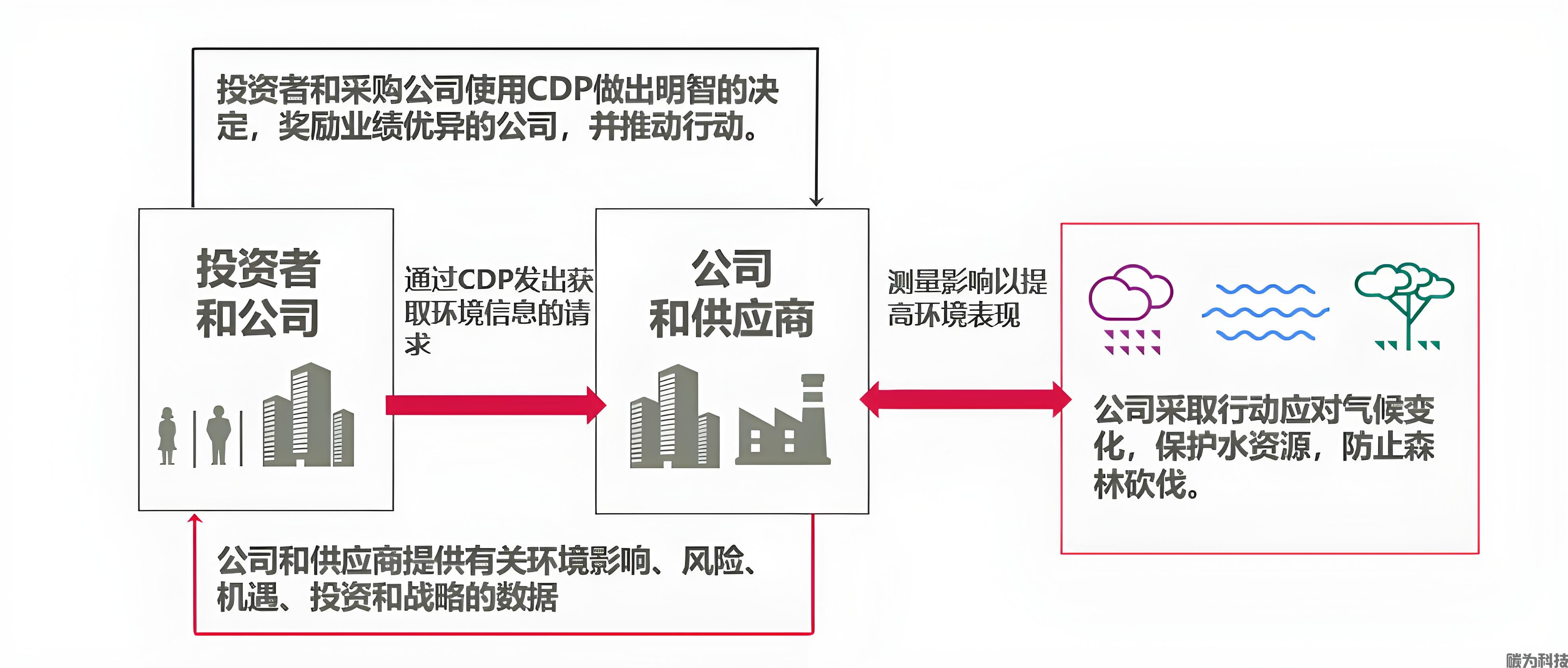 2024年：CDP碳信息披露问卷报告调查指南！(图1)