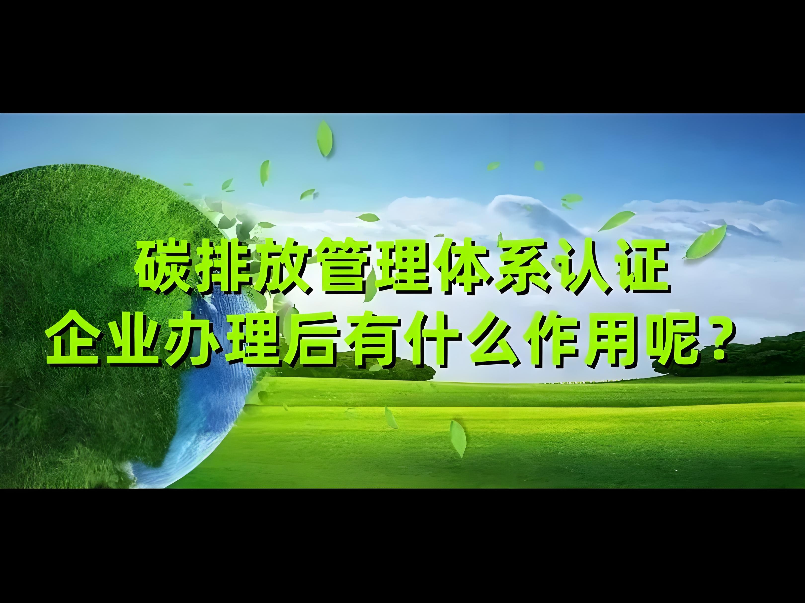 企业碳排放认证：强制与否的绿色转型十字路口(图1)