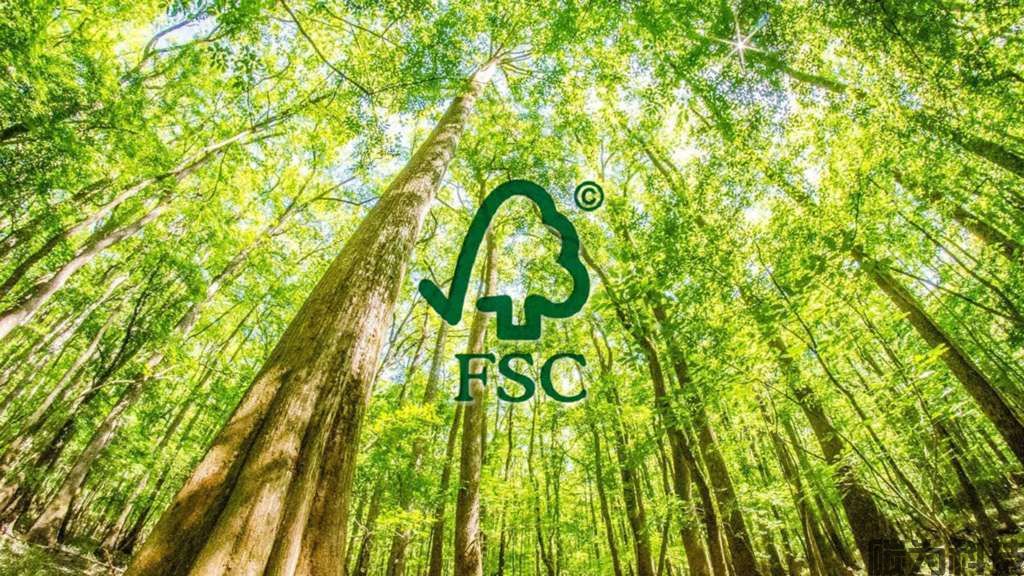  欧盟零毁林法案EUDR认证费用与标准解读(图1)