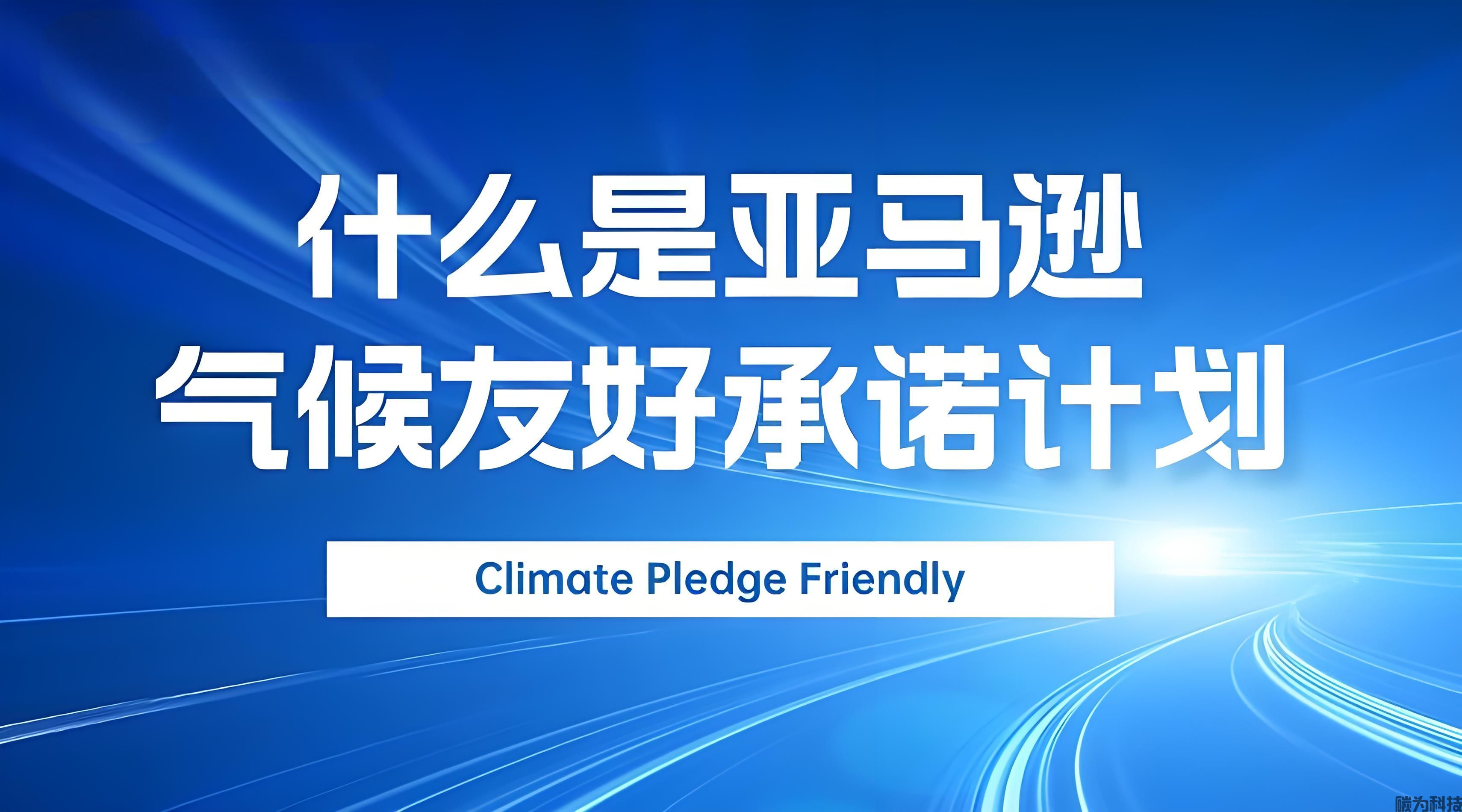 2025年亚马逊“气候友好承诺”绿标申请费用解读！