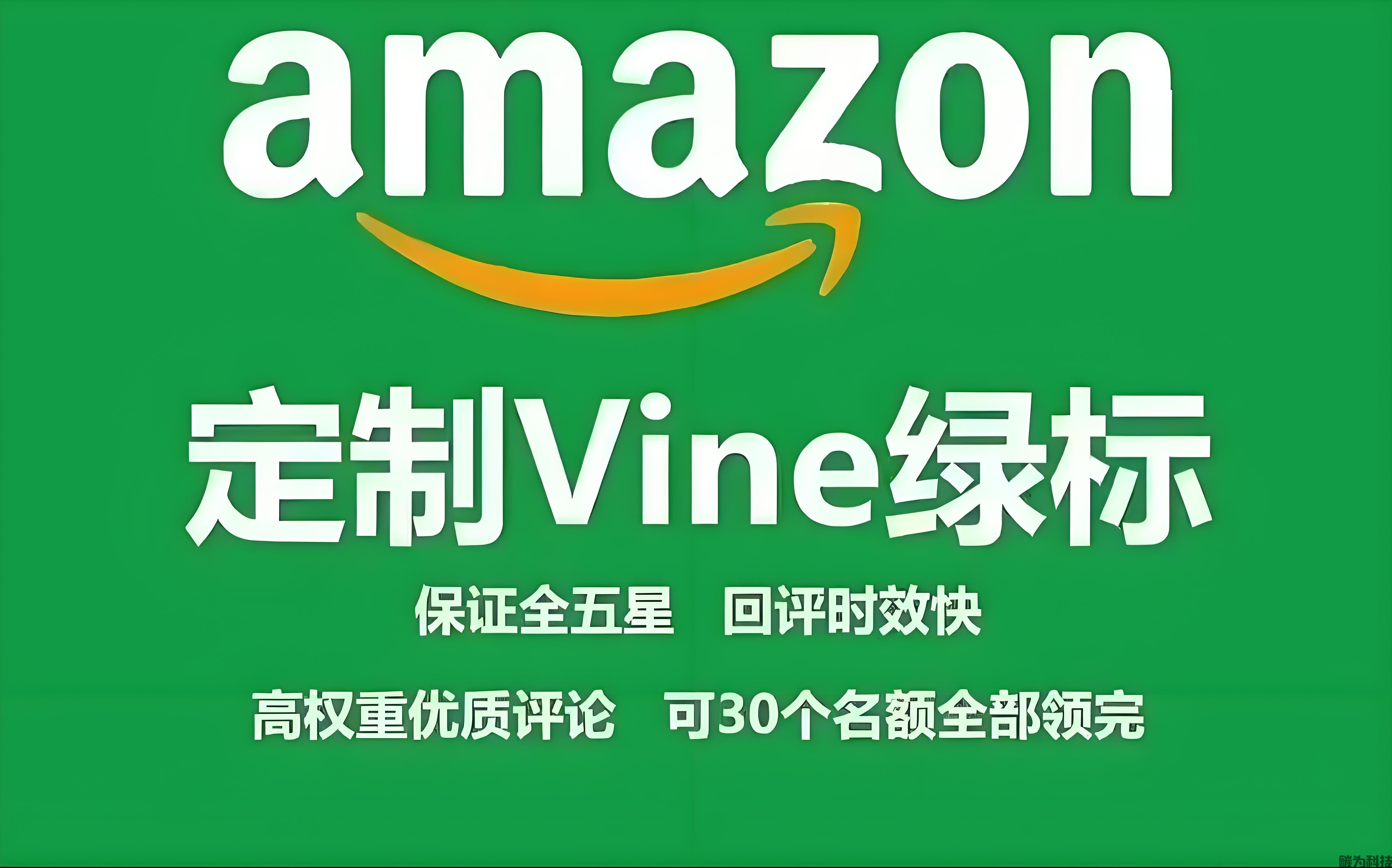 2026年跨境卖家如何选择亚马逊绿标认证路径(图2)